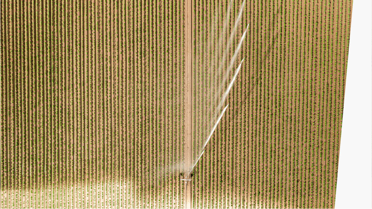 BLOG Social Media Oct 06 Agri Tech.jpg?fit=300%2C169&ssl=1